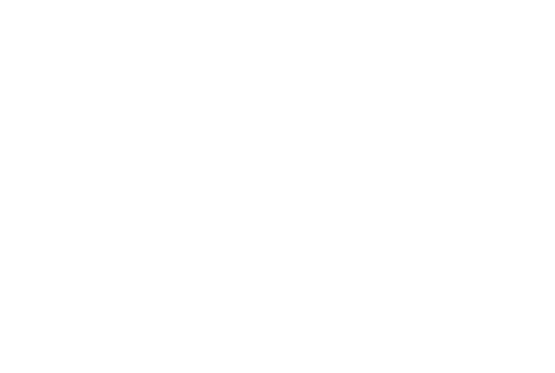 Rays Spaceship Repair Service